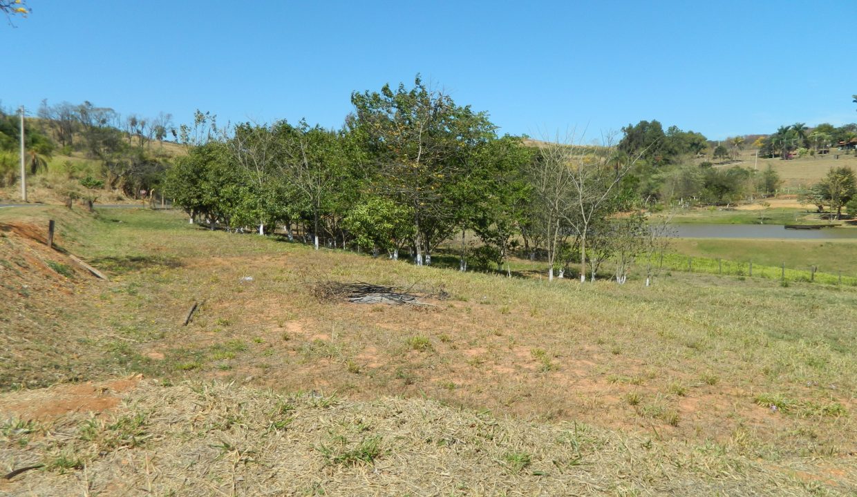 DSCN5842