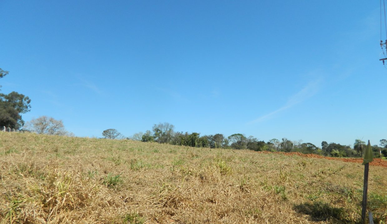 DSCN5847