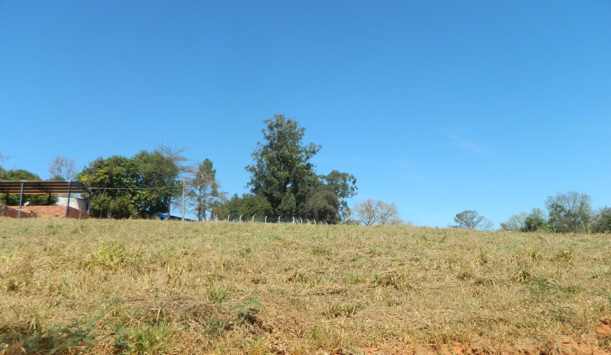 DSCN5849