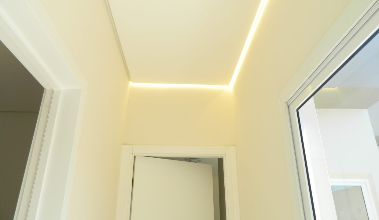 DSCN5894